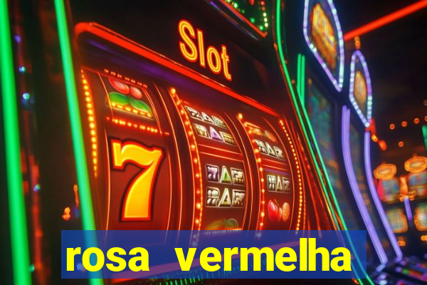 rosa vermelha (letra e cifra)